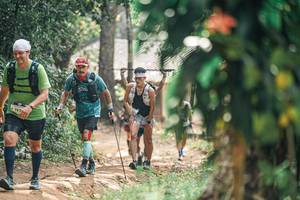 BIB: 
                            <button type="button" onclick="openModal(25275496)" class="btn btn-primary btn-sm float-right btn-popup" data-toggle="modal" data-target=".modal-high-quality">
                        <i class="fas fa-shopping-cart"></i> Add to Cart
                    </button>
                                            <button type="button" onclick="isThisMe(25275496, true)" class="btn btn-success btn-sm float-right btn-popup btn-isme hidden" data-toggle="tooltip" data-placement="bottom" title="นี่คือรูปของคุณใช่ไหม คลิกที่นี่เพื่อเอาเข้าอัลบั้ม">
                        <i class="fas fa-plus"></i> Add to album
                    </button>
                    <button type="button" onclick="isThisMe(25275496, false)" class="btn btn-warning btn-sm float-right btn-popup btn-isnotme hidden">
                        <i class="fas fa-ban"></i> Remove from album
                    </button>